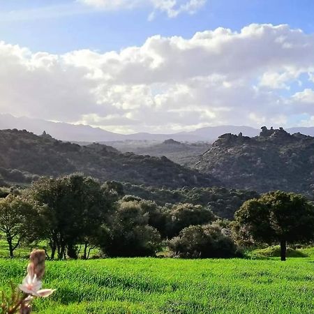 Casa Verdi Telti エクステリア 写真